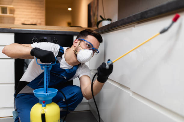 Pest Prevention Services in Lewiston, UT