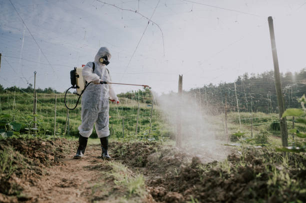 Best Pest Prevention Services  in Lewiston, UT