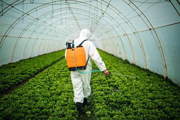 Best Emergency Pest Control  in Lewiston, UT