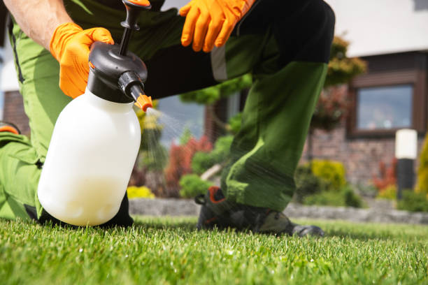 Best Local Pest Control Services  in Lewiston, UT