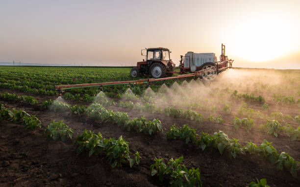 Best Pest Prevention Services  in Lewiston, UT