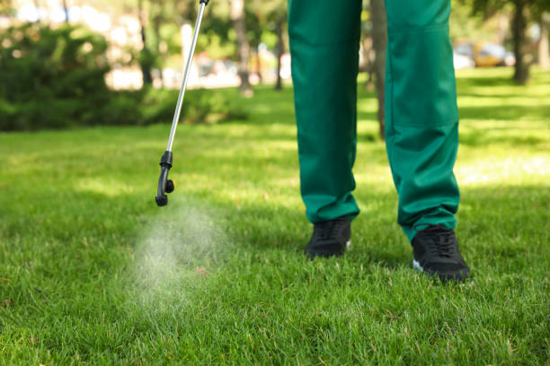 Best Exterminator Services  in Lewiston, UT