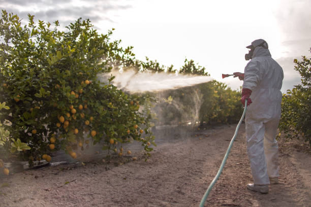 Best Cockroach Control Services  in Lewiston, UT