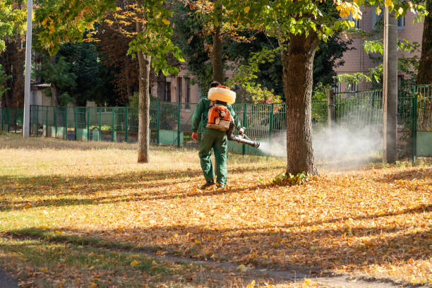 Best Pest Removal Services  in Lewiston, UT
