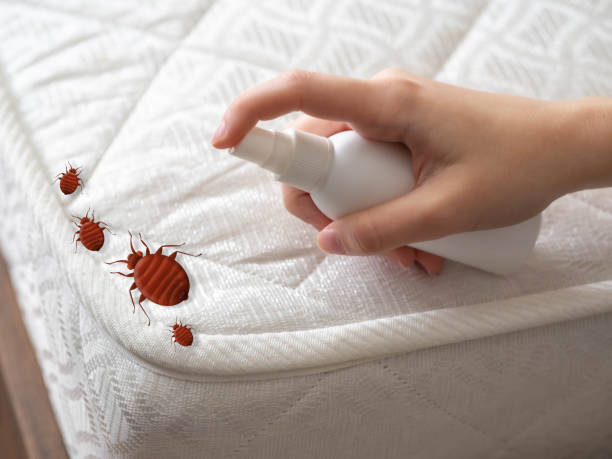 Best Pest Control Near Me  in Lewiston, UT