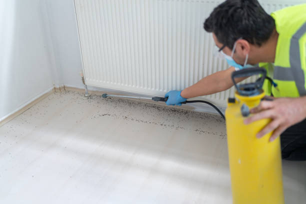 Best Pest Removal Services  in Lewiston, UT