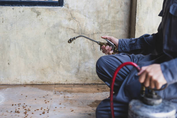 Best Wasp Removal Services  in Lewiston, UT